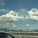 머거본도너츠