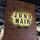 파뿌리헤어 | 강남 모발클리닉 추천 | 준오헤어 강남역스퀘어점 극손상모 헤어클리닉 후기