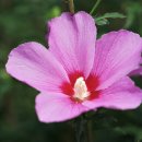 삼산농장 이미지