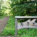 초록숲민박 이미지