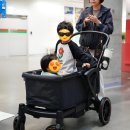 씨유삼송세솔다리점 | [유아 웨건 추천] 폼포라 플레런 F2와 함께한 아둘맘의 주말 나들이 🌳