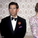 이미지뱅크 이미지