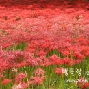 정거장주막 티스토리
