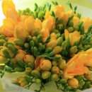 후리지아 이미지