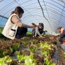 영수한우농장 이미지