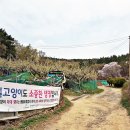 성진카프라자 이미지