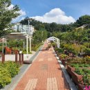 정원 - 용인시 기흥구 평촌3로 5-7 | 정원