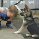 월 이미지