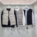 행텐주니어 이미지