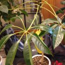 제주하도바당 이미지