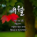 Rose-la liste / Que tu reviennes / Movin' Out / Call To Say..(색소폰) 이미지