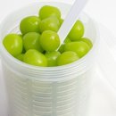 보나하우스 이미지