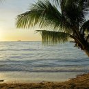 (주)연안항공여행사 이미지