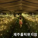 오브제애월 | 제주홀릭뮤지엄 솔직후기! 제주도 서쪽 코스 애월 아이와 실내 갈만한 곳