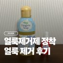 얼룩제거제 정착템 추천 시미토리 레스큐 & 란제리솝 후기