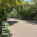 숭의도서관 | [남산 둘레길] 명동역 IN 회현역 OUT 경사로이나 그늘진 쉬운 길