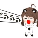 착한애견미용 이미지