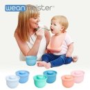 마이스터 이미지