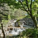 금원산자연휴양림(거창) 이미지