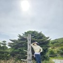 한라산 영실코스 6월초 다녀 온 후기 중문 김밥집 영실코스주차장