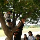 꿈샘작은도서관 이미지