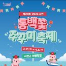 호도마을회관 | [충남] 2026 서천 동백꽃 쭈꾸미축제 솔직후기_쭈꾸미샤브샤브 _체험정보 주차정보