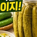 오이지닷컴