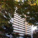 노원-상계-2766 이미지