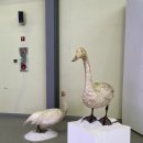 사하구 홍티로 이미지