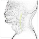 피트니스넘버원 이미지
