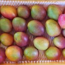 은서농장 이미지