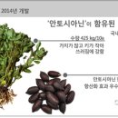 케이올 - 천안시 동남구 순천향3길 43 | 케이올