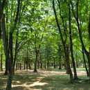 양재시민의숲 테니스장 이미지