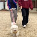 명륜여자중학교 이미지