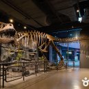 모두여행(무장애 여행) 이미지