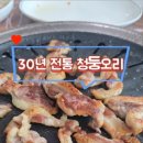 띠뚱띠뚱 오리집 네이버블로그