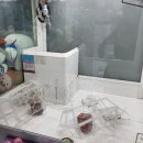 쇼미더뽑기 이미지