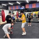 대한권투체육관 이미지