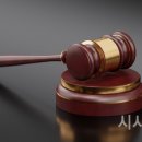 방방이네 이미지