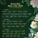 MINT PC | 2025 뷰티풀 민트 라이프 티켓 예매 라인업 교통 주차 정보
