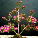 행복한사람들 이미지