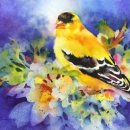 컬러풀 수채화 이미지