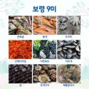 제20회 통일기원예술제 | 四字成語 총정리 <ㅂ> 282 보령구미~보령읍지
