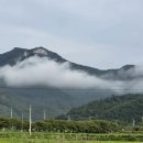 강진산들농원 이미지