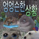 오케이게스트하우스 | 내돈내산! 제주도애월게스트하우스 새애월 야장파티 다녀온 후기 (feat. 새월, 사히 love..)