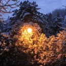 우장산근린공원 이미지