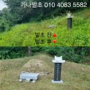 가나벌초대행