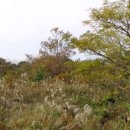 덕천보건진료소 이미지