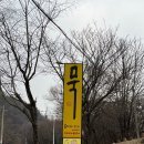 통돼지와도토리 이미지