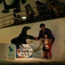 나경목장 이미지